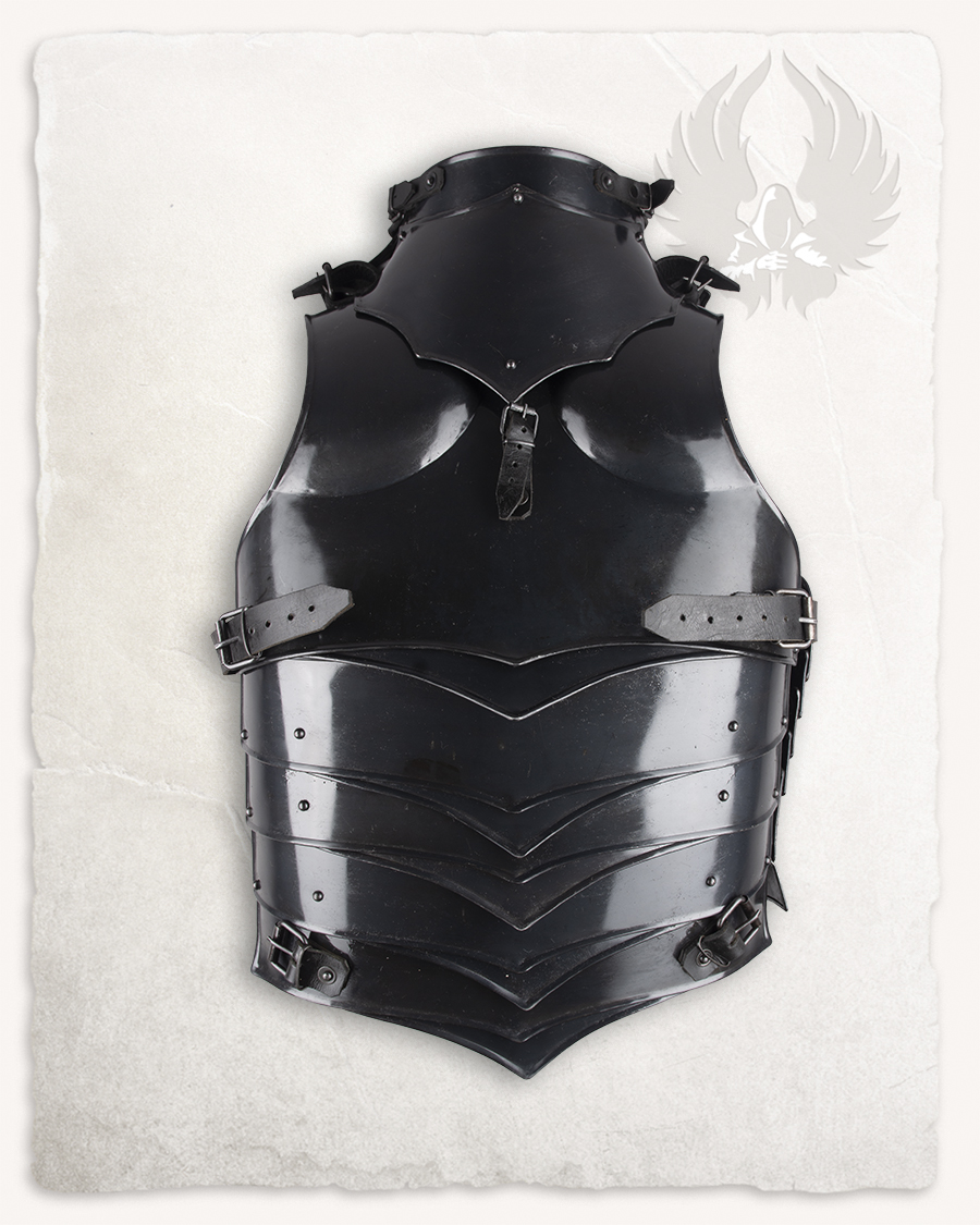 Rikomer torso armour browned medium with storage damage