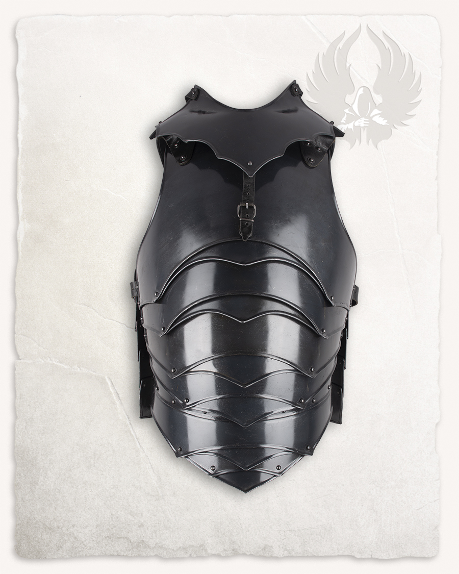 Rikomer torso armour browned medium with storage damage
